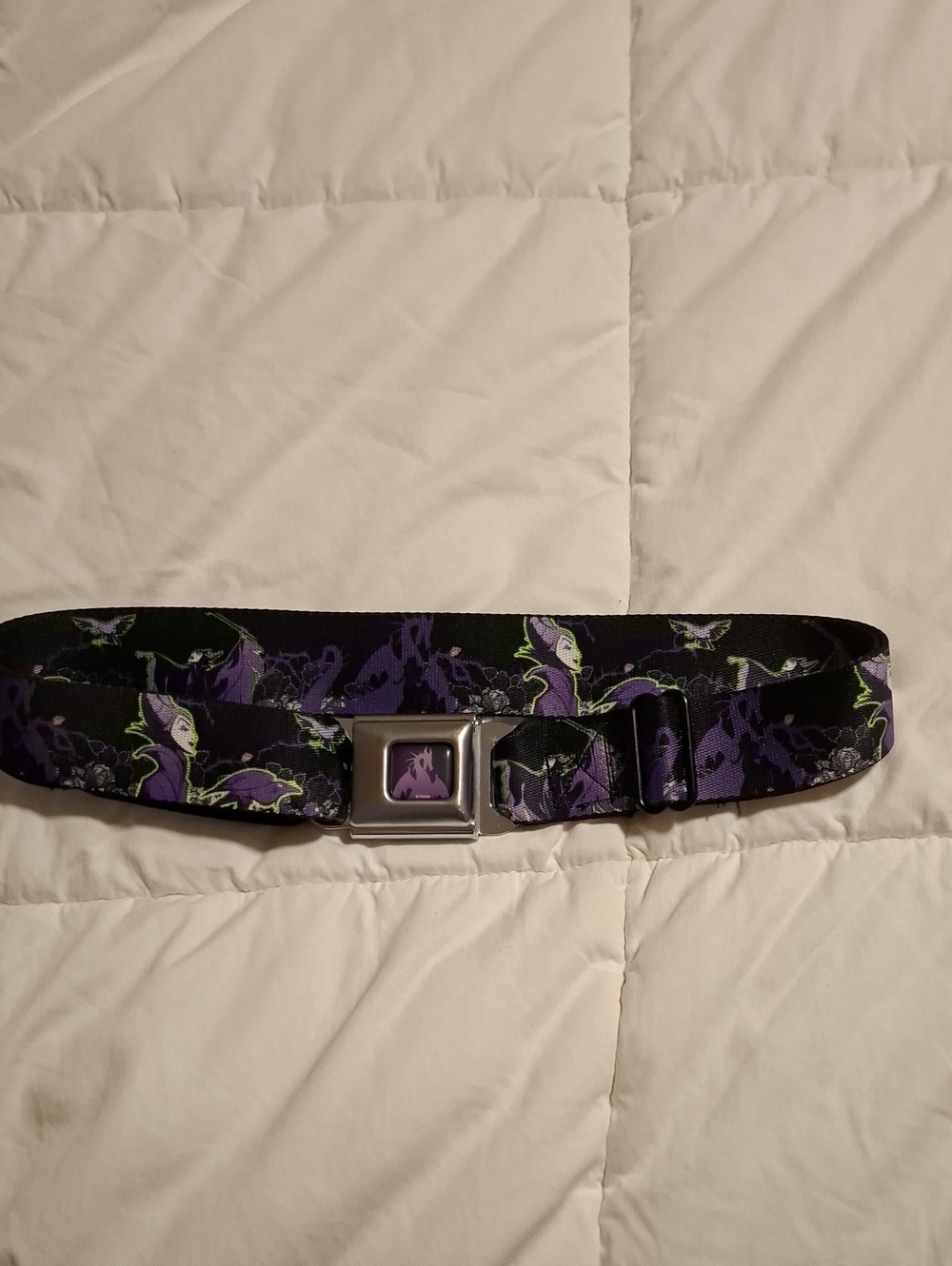 Buckle-Down Purple Villain Web Belt with Silver Metal Buckle
